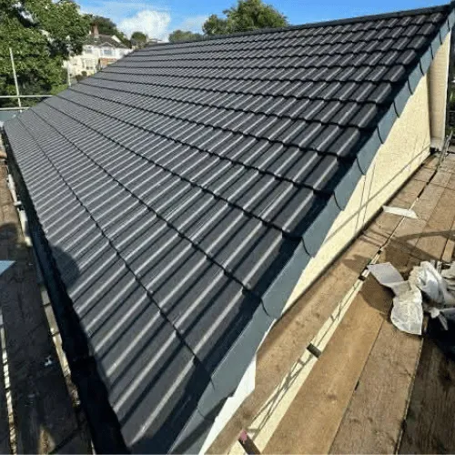 Recent roof project